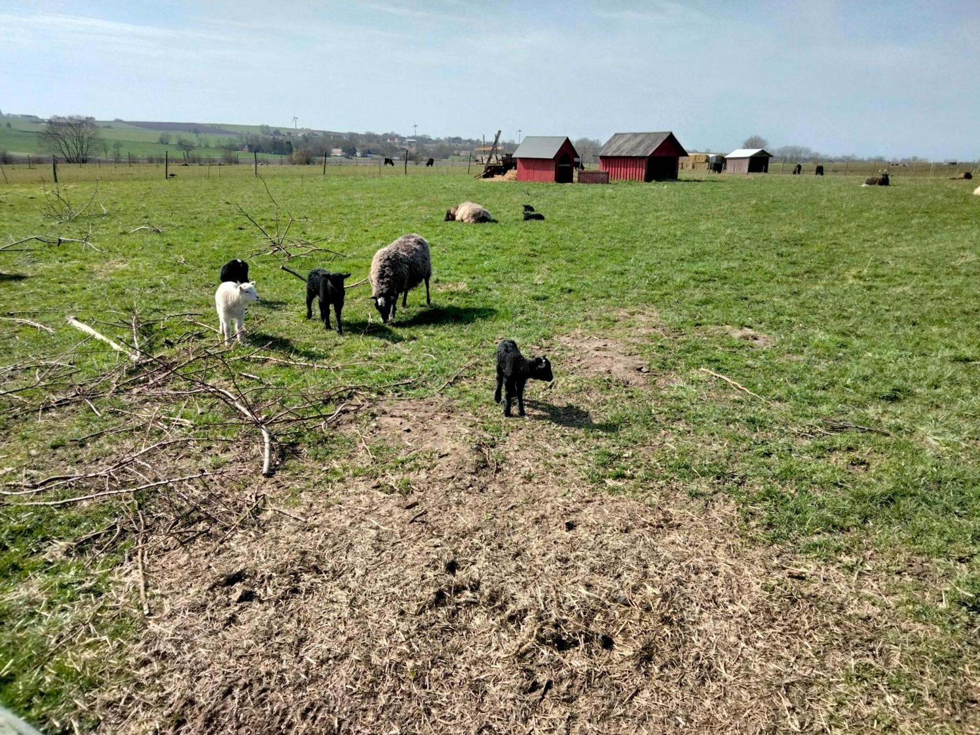 Oestermark Ærøskøbing Exteriör bild