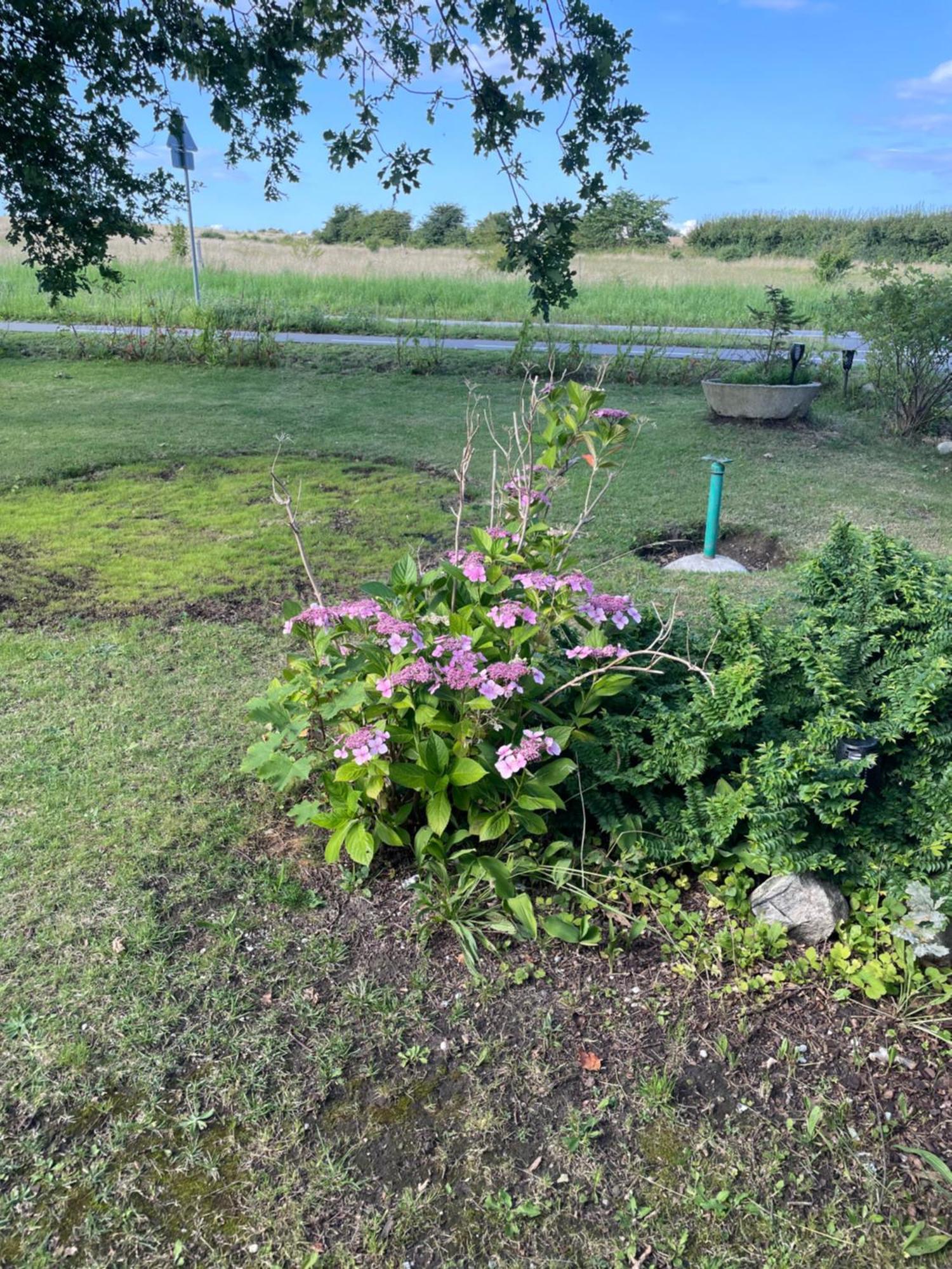 Oestermark Ærøskøbing Exteriör bild
