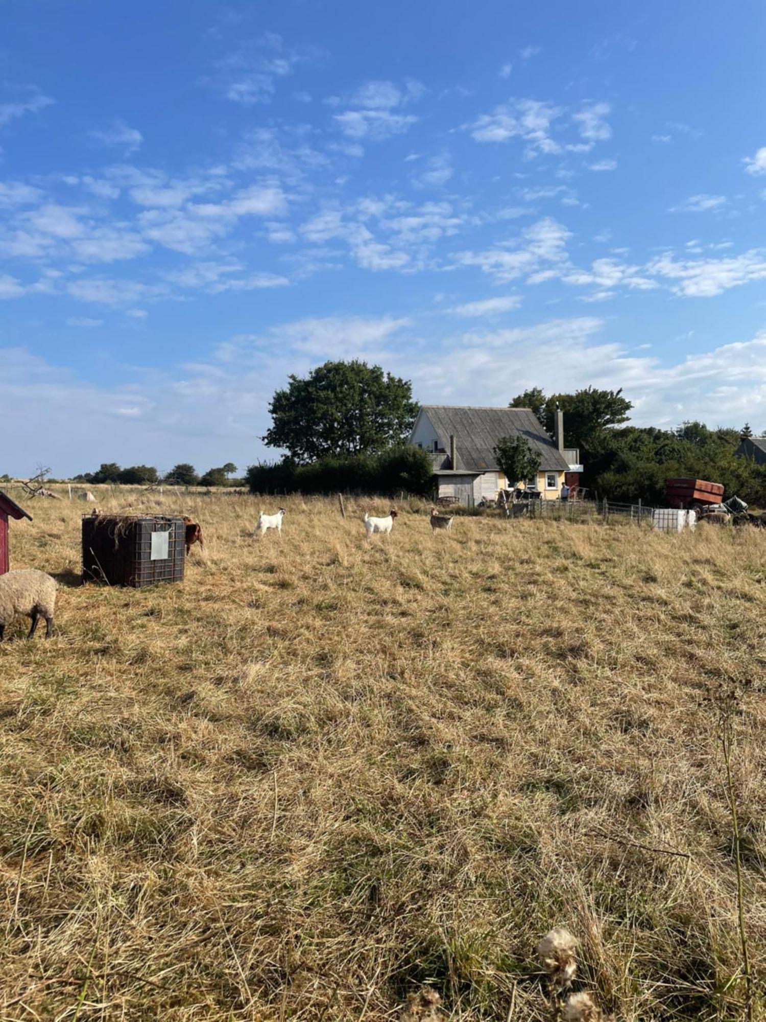Oestermark Ærøskøbing Exteriör bild